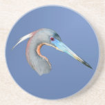 Tri-colored Heron Coaster