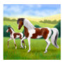 Tri Colored Paint Horse a...