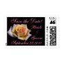 Tri Colored Rose Save the Date!