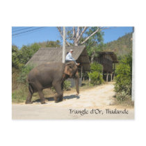 Triangle d'Or, Thailande postcards by clairesquara Triangle d'Or, Thailande postcards