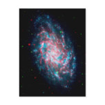 Triangulum Galaxy Postcard