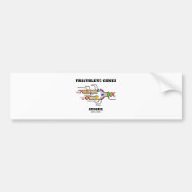 Triathlete Genes Inside (DNA Replication) Bumper Sticker