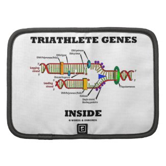 Triathlete Genes Inside (DNA Replication) Organizer