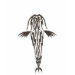 EDUN LIVE Genesis Unisex Standard Crew