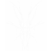 Tribal Deer Skull Tattoo by Flowstone Graphics t-shirts by FlowstoneGraphics Tribal Deer Skull Tattoo by Flowstone Graphics t-shirts