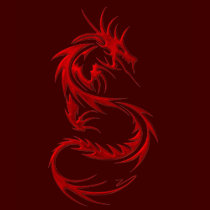 Tribal Dragon t-shirts by DragonMyth Tribal Dragon t-shirts