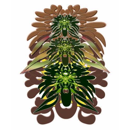 TRiBAL FAiRiES Shirt shirt