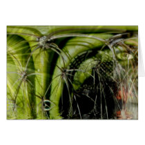 Tribal Medicine Card by webgrrl Tribal Medicine Card