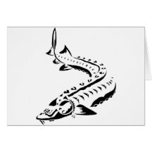 Tribal NEW Greeting Cards