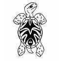 tribal tortoise sketch t-shirts
