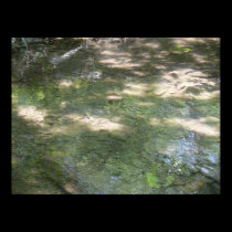 Tributary bottom posters