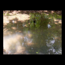 Tributary bottom posters