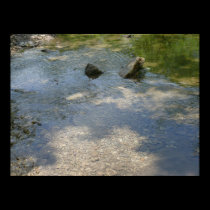 Tributary bottom posters