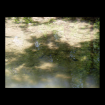 Tributary bottom posters