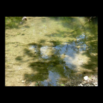 Tributary bottom posters