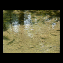 Tributary bottom posters