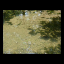 Tributary bottom posters