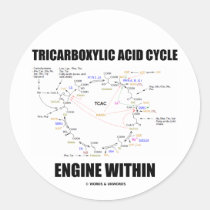 Tricarboxylic Acid Cycle Engine Within Krebs Cycle Round Sticker