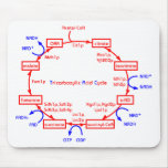 tricarboxylic acid cycle mouse pad