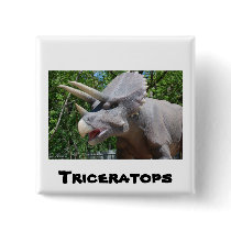 Triceratops buttons