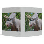 Triceratops Dinosaurs binders