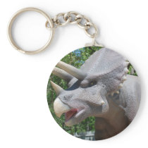 Triceratops/Dinosaurs Key Chains