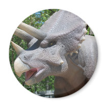 Triceratops/Dinosaurs Fridge Magnets