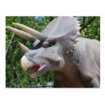 Triceratops/Dinosaurs Postcards