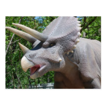 Triceratops/Dinosaurs Postcards