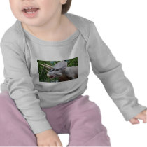 Triceratops/Dinosaurs Shirts