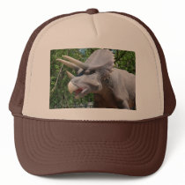 Triceratops hats