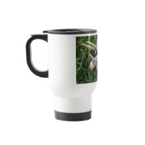 Triceratops mugs