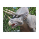 Triceratops postcards by Incatneato Triceratops postcards