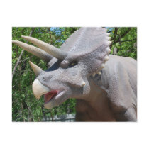 Triceratops postcards