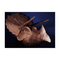 Triceratops  posters