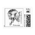 Triceratops stamps