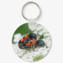 Trichodes apiarius keychains