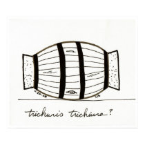 Trichuris trichiuria print by bio_muse Trichuris trichiuria print