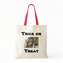 Trick or Treat Canvas Bag