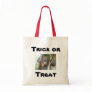Trick or Treat Canvas Bag