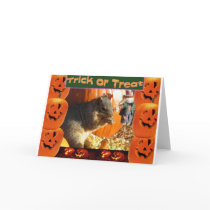 Trick or Treat cards