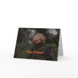 Trick or Treat Cards