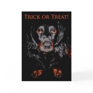 Trick or Treat Greeting Card card