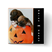 Trick or treat Halloween Boxer puppies button
