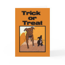 Trick or Treat Happy Halloween Dogs cards