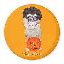 Trick or Treat! magnets