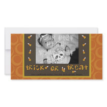 Trick or Treat Photo Card photo cards