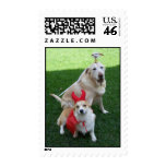 Trick or Treat postage