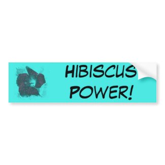 Tricolor Abstract Hibiscus zazzle_bumpersticker