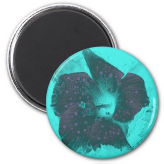 Tricolor Abstract Hibiscus zazzle_magnet